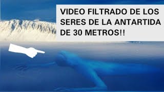 FILTRAN VIDEO DE UN SER GIGANTE QUE HABITA EN LA ANTARTIDA [upl. by Nickolaus]