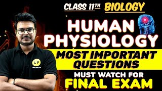 Human Physiology Most Important Questions  Class 11 Biology  Human Physiology All Important MCQs [upl. by Anilatac]