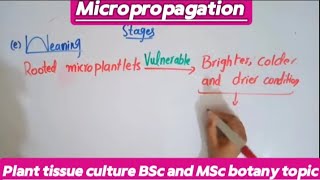 MicropropagationProcedureMethodAdvantagesDisadvantages [upl. by Sachi914]