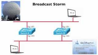 Broadcast Storm CCNA Complete Video Course Sample [upl. by Niotna453]