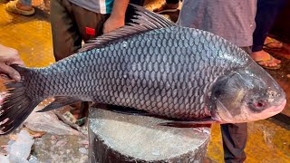 Amazing Cutting Skills  Giant Katla Fish Cutting By Expert Fish Cutter [upl. by Nennahs]