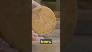 Casu Marzu The Maggot Cheese Delicacy [upl. by Acnaib]