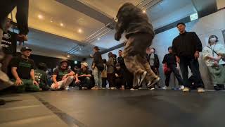 AOMORI TOP BBOYS 17th anniversary 3on3 予選第2試合 [upl. by Ehtnax481]