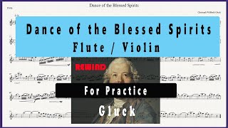 Gluck Dance of the Blessed Spirits Practice Version Flute amp Harp [upl. by Lasyrc]