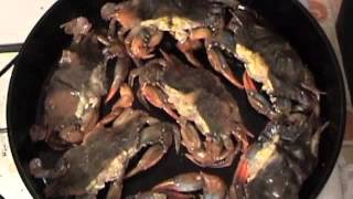 Soft Shell Crabs 101 [upl. by Siva]