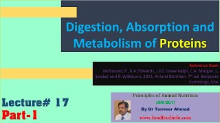 Lecture17 Part1 Protein Digestion Absorption and Metabolism [upl. by Irrak]