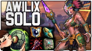 A BEAUTIFUL AWILIX SOLO BUILD TO CARRY WITH [upl. by Ha]