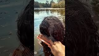 Intense Lice Removal with Comb  Satisfying Hair Cleaning satisfying [upl. by Culbertson]