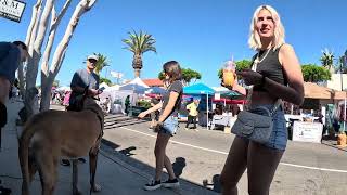 Cash 20 Great Dane at the Granada Hills street fair 2023 4 of 10 [upl. by Torras]