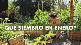 📣 Qué siembro en Enero Planifica hoy tu huerto de Otoño 🌿🍁 [upl. by Greeley694]