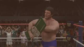 Bruno Sammartino vs Dusty Rhodes World Heavyweight Championship [upl. by Hgielhsa796]