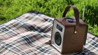 Ruark Audio  Radio R1 mkIII  Cobrafr [upl. by Gray505]