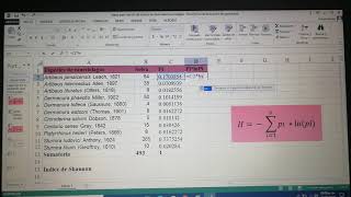 Calculo de Indices de Diversidad con Excel [upl. by Oicirtap]