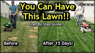 Fix an Ugly Lawn with Overseeding  Complete Step by Step Guide For Beginners [upl. by Ylrbmik]