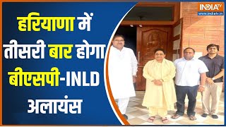 INLD to Form Alliance With BSP हरियाणा में बीएसपीINLD का फिर होगा अलायंस  Mayawati  Haryana [upl. by Hoeg]