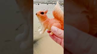 Learn Animal Names at the Harbour for Babies Kids Turtle Fish Iguana Squirrel Fox Owl animalshorts [upl. by Boelter]