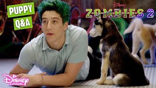 Milo Manheim Puppies QampA Challenge 🐶  ZOMBIES 2  Disney Channel UK [upl. by Nohtanhoj]