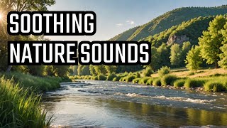 NATURE SOUND FOR RELAXATION [upl. by Yrrac]