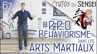 Pédagogie  Behaviorisme et PPO dans les Arts Martiaux [upl. by Riggs668]