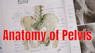 Anatomy of Pelvis  pelvis region  anatomy of pelvis in UrduHindi  2020 [upl. by Anital]