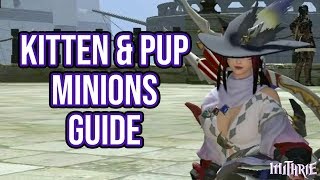 FFXIV 21 0138 Coeurl Kitten  Wolf Pup Minions [upl. by Denni]