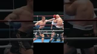 The Devastating Kicks of Mirko quotCro Copquot Filipović  MMA Highlights [upl. by Nedarb]