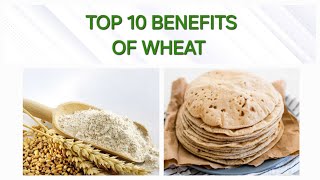 Top 10 benefits of wheat toptips wheat [upl. by Lladnek182]