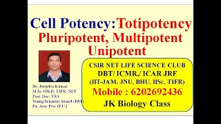 Cell Potency  Totipotency  Pluripotent  Multipotent  Unipotent  CSIR NET LIFESCEINCE [upl. by Lillywhite833]