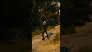 The Witcher 3 Wild Hunt Lets Play Gameplay Français parties 14 avec lookfr [upl. by Yerahcaz665]