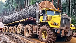 Skills in driving heavy timber trucks over dangerous mountains [upl. by Nibor]