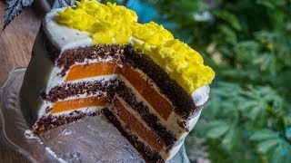 Apricot Chocolate Cake [upl. by Ettenan356]