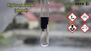 THE FERRIC CHLORIDE TEST FOR PHENOLS [upl. by Asilana]