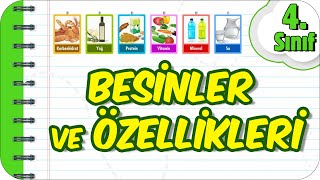 Besinler ve Özellikleri 🌽 4Sınıf Fen 2023 [upl. by Demb]