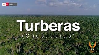 Viva el bosque  Turberas [upl. by Karyl]