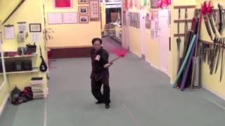 Choy Li Fut  13 Left and Right Lances Spear [upl. by Sothena]