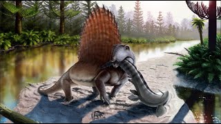 Dimetrodon  Ancient Animal [upl. by Sherborn65]