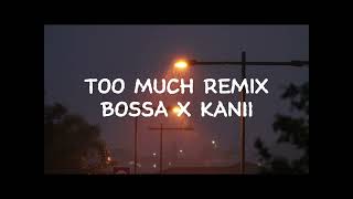 To much remix slowed  Reverb [upl. by Fortna]