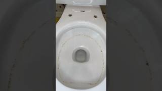 How to remove dirty toilet ring stain cleaning cleaningmotivation cleaningtips satisfying asmr [upl. by Neral302]