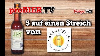 5 auf einen Streich von Braustelle  proBIERTV  Craft Beer Review 723 4K [upl. by Etnaid]