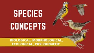 SPECIES CONCEPTS BIOLOGICAL MORPHOLOGICAL ECOLOGICAL PHYLOGENETIC [upl. by Neerol428]