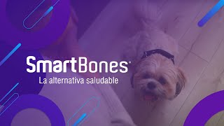 ¡Hora de un snack con Smartbones ⏰🐶🦴 [upl. by Yaja652]