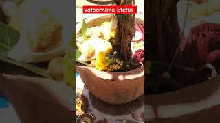 वटपौर्णिमा 2024 Vat purnima WhatsApp status vatpurnima2024 shortfeeds viralvideo [upl. by Hubble193]