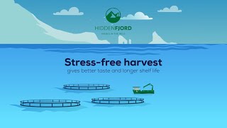 Hiddenfjord Stressfree harvesting [upl. by Erlandson]