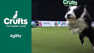 Agility Crufts Medium ABC and IntermediateLarge Novice ABC Final Part 3  ​Crufts 2022 [upl. by Ettenuahs]