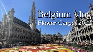 【4K】BELGIUM VLOG  Flower carpet 2022 in Brussels  GrandPlace  ベルギー ブリュッセル フラワーカーペット in グラン・プラス [upl. by Augustina]