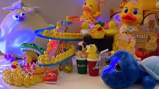 LET’S PLAY asmr asmrsounds asmrvideo satisfying relaxing toys duck cute play show shorts [upl. by Thurlough526]