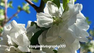 Tour of Green Bay Botanical Garden [upl. by Prosser]