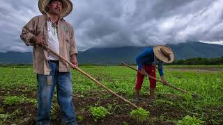 Cabañuelas tradición de predicción meteorológica del año IUSAsesores Noticias [upl. by Elleivad]