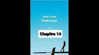 14  Petit Pays  Gael Faye  aide à la lecture  Chapitre 14 [upl. by Obala]