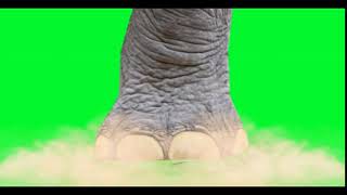 Elephant Foot Stomping With Sound  FREE [upl. by Ahar343]